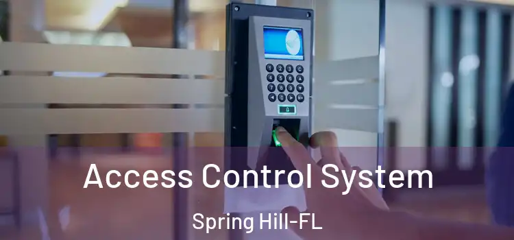  Access Control System Spring Hill-FL