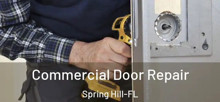  Commercial Door Repair Spring Hill-FL