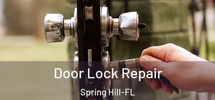  Door Lock Repair Spring Hill-FL