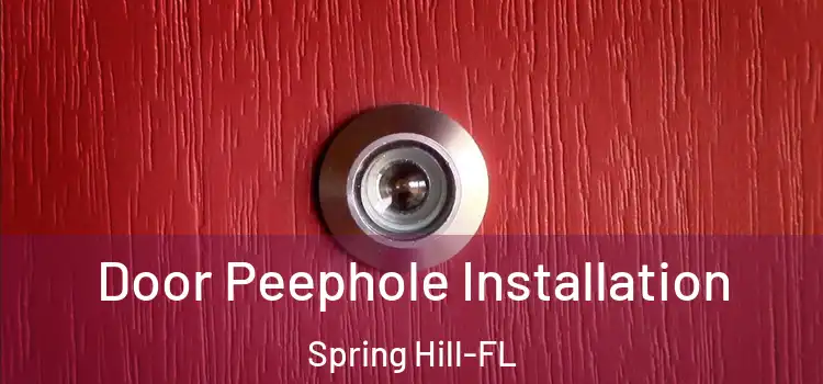  Door Peephole Installation Spring Hill-FL