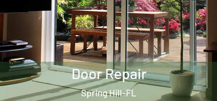  Door Repair Spring Hill-FL