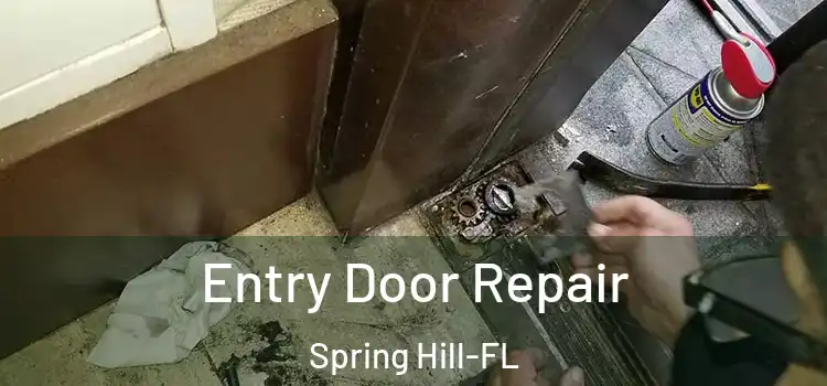  Entry Door Repair Spring Hill-FL