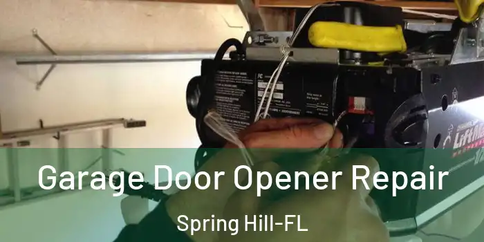  Garage Door Opener Repair Spring Hill-FL