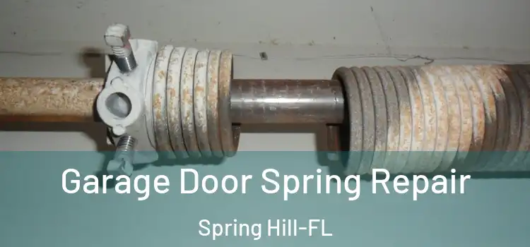  Garage Door Spring Repair Spring Hill-FL