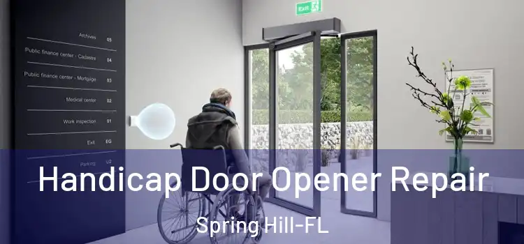  Handicap Door Opener Repair Spring Hill-FL