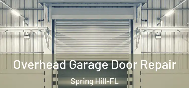  Overhead Garage Door Repair Spring Hill-FL