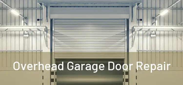  Overhead Garage Door Repair 