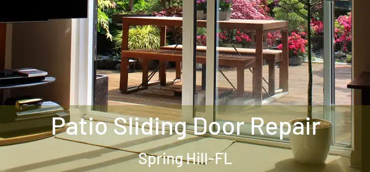  Patio Sliding Door Repair Spring Hill-FL