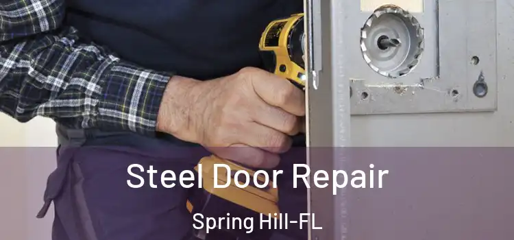  Steel Door Repair Spring Hill-FL
