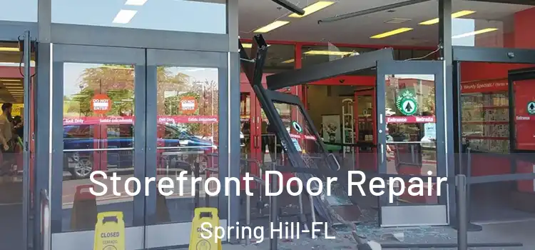  Storefront Door Repair Spring Hill-FL